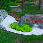 Load image into Gallery viewer, Grass Barrier - Landscape Edging - 10 inch Depth